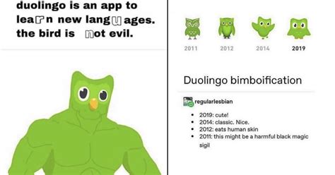 duolingo memes funny